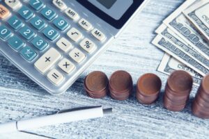 How to Allocate Debt as a Part of Your Portfolio?